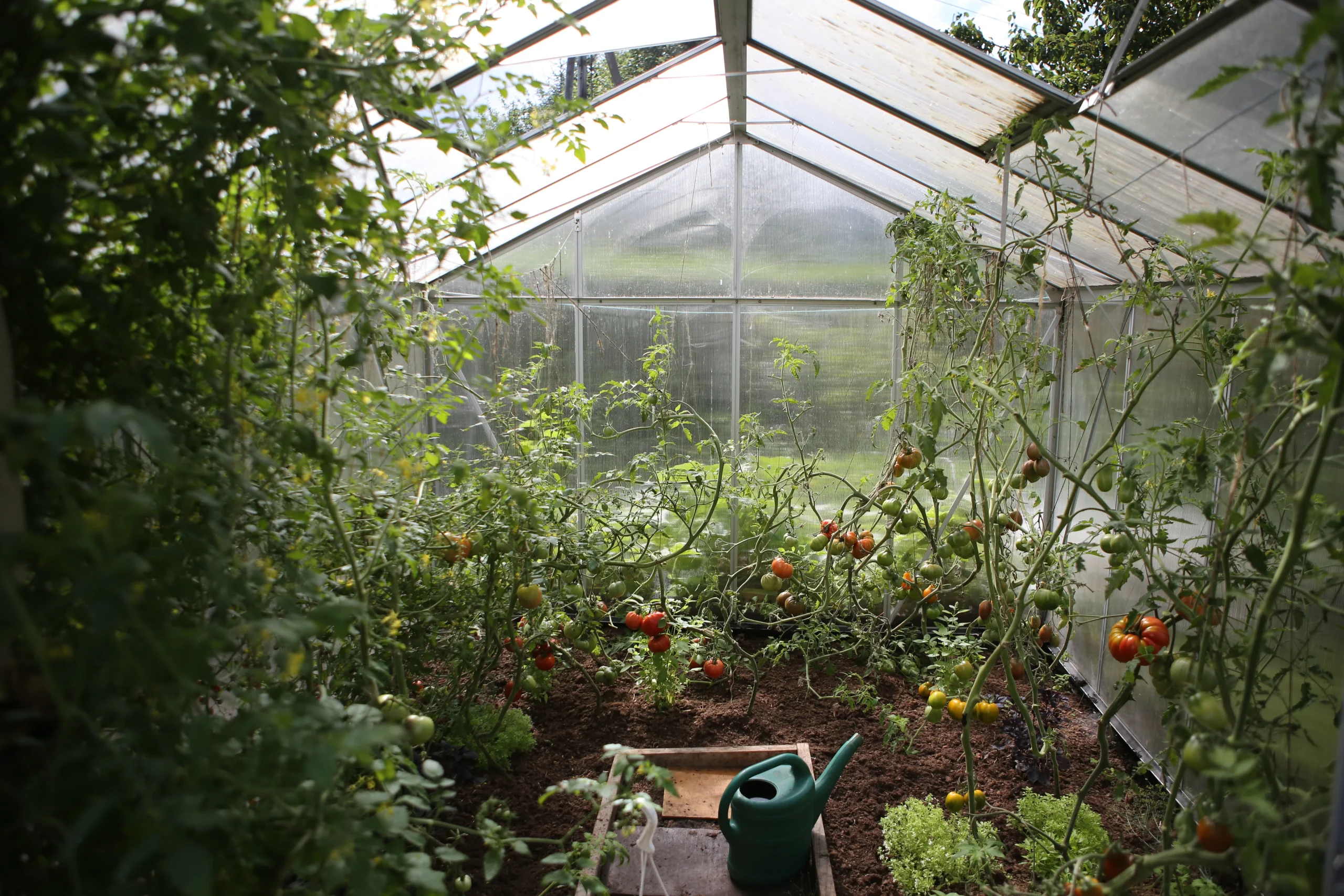 Soil Management